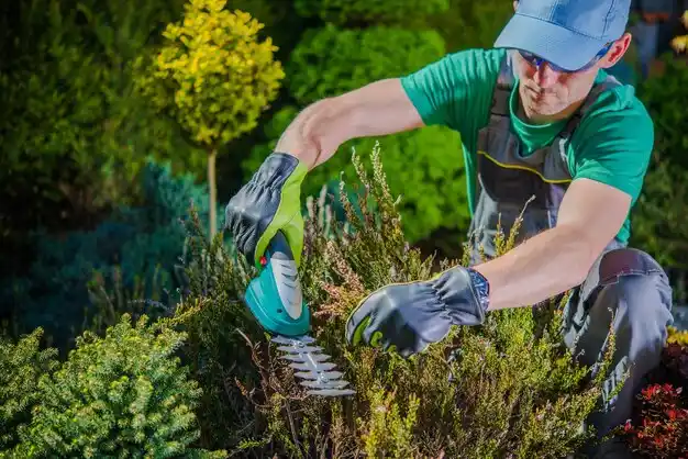landscaping services Parchment